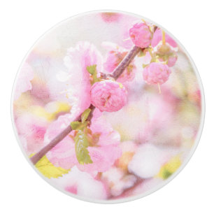 Pink sakura flowers - Japanese cherry blossom Ceramic Knob