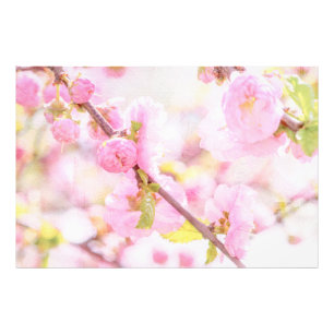 Pink sakura flowers - Japanese cherry blossom Photo Print