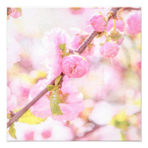 Pink sakura flowers - Japanese cherry blossom Photo Print
