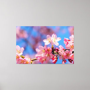 Pink Sakura Flowers On A Tree In Springtime Canvas Print