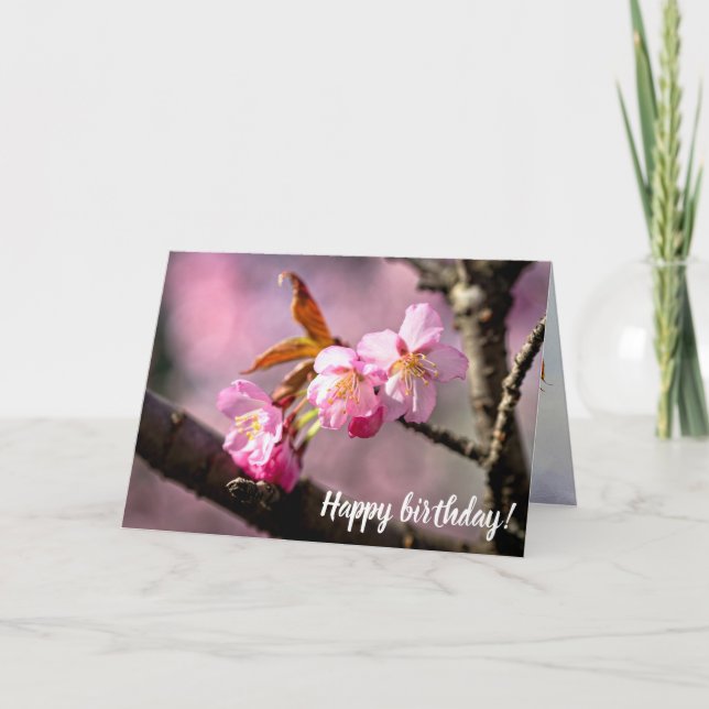 Pink Sakura Flowers On A Tree In Springtime Card (Front)