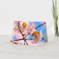 Pink Sakura Flowers On A Warm Day Of Springtime