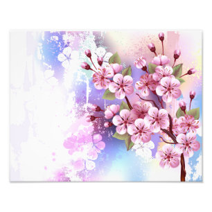 Pink Sakura on Painting Background Photo Print