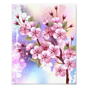 Pink Sakura on Painting Background Photo Print