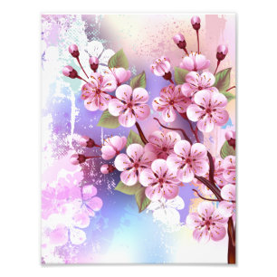 Pink Sakura on Painting Background Photo Print