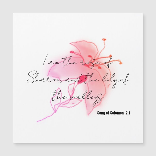 pink salmon blush lily magnet (Front)