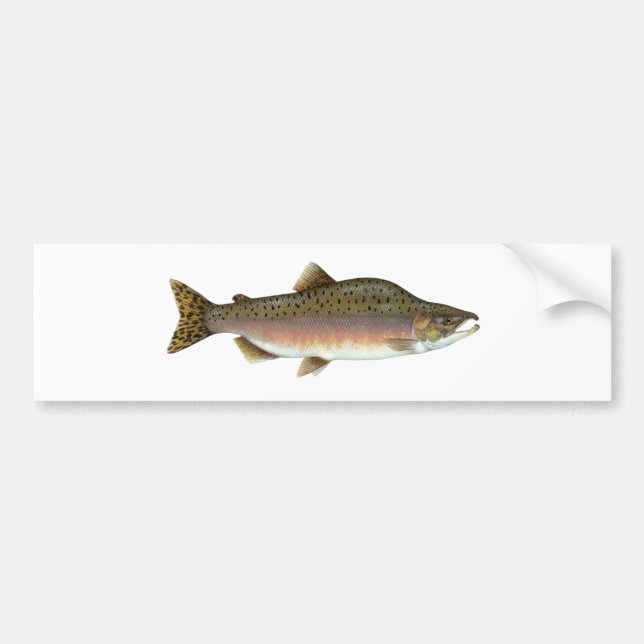 Pink Salmon Bumper Sticker (Front)