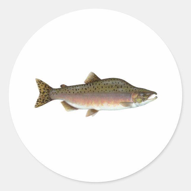 Pink Salmon Classic Round Sticker (Front)