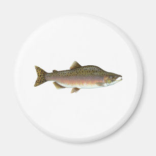 Pink Salmon Magnet