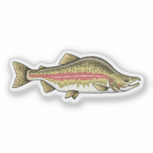 Pink Salmon Spawning Phase