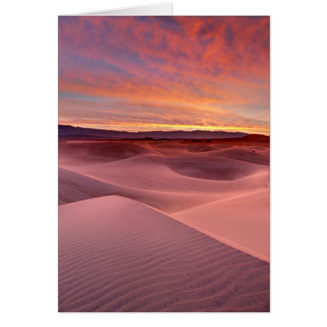 Pink sand dunes, Death Valley, CA (Front)