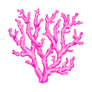 Pink sea coral tissue paper