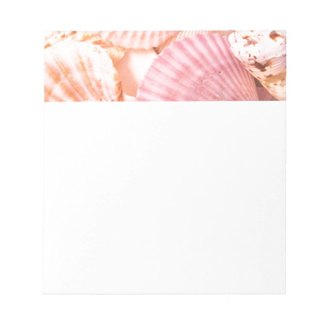 Pink Seashells Notepad (Front)