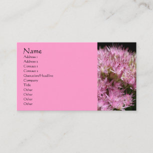 Pink Sedum Flower Photography Business Card