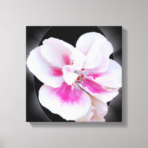 Pink Shades Canvas Print