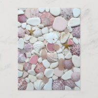 Pink shell sea glass beach glass art photo pottery