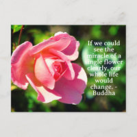 Pink Single Rose Motivational Quote