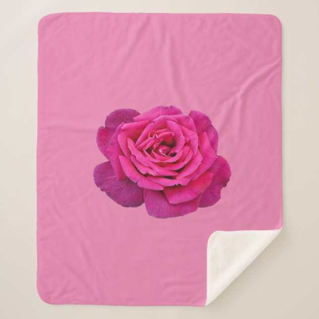 Pink single rose sherpa blanket (Front)