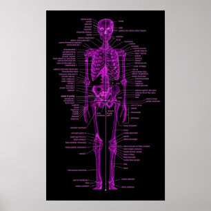 pink skeleton poster
