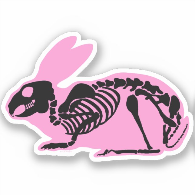Pink Skeleton Rabbit (Front)