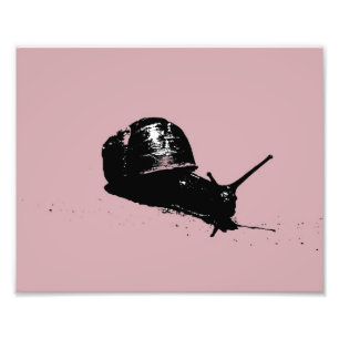 Pink Snail Photo Print