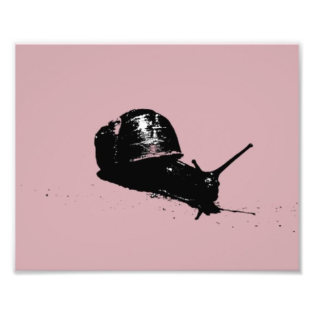 Pink Snail Photo Print (Front)
