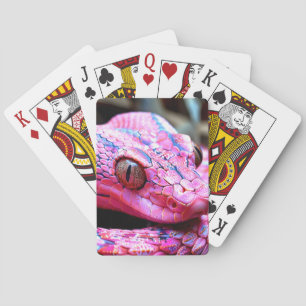 Pink Snake Playing Cards