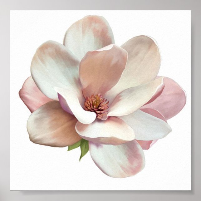 Pink Southern magnolia poster (Front)