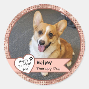 Pink Sparkle Therapy Dog Visit Custom Classic Round Sticker