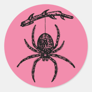 Pink Spider Classic Round Sticker