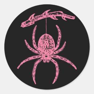 Pink Spider Classic Round Sticker