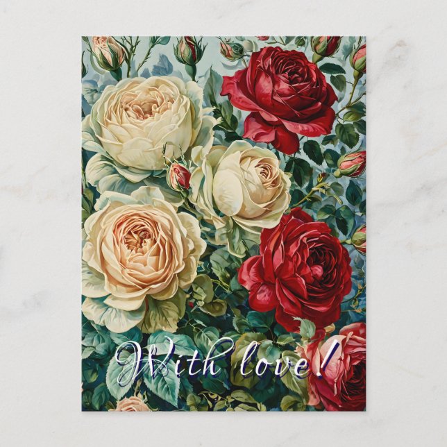 Pink splendour. Floral bouquet of roses. Postcard (Front)