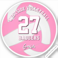 pink sports team colours volleyball player