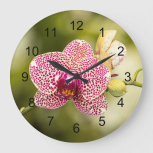 Pink spotted orchid  large clock