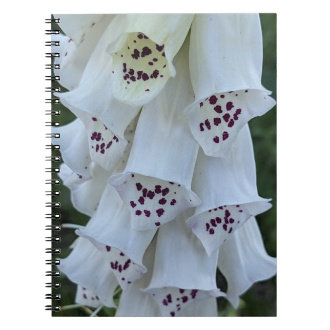 Pink Spotted White Foxglove Floral Notebook (Front)