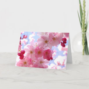 Pink spring blossom holiday card