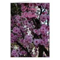 Pink Spring Blossom Tree, Birthday Card