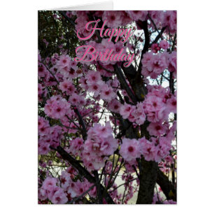 Pink Spring Blossom Tree, Birthday Card