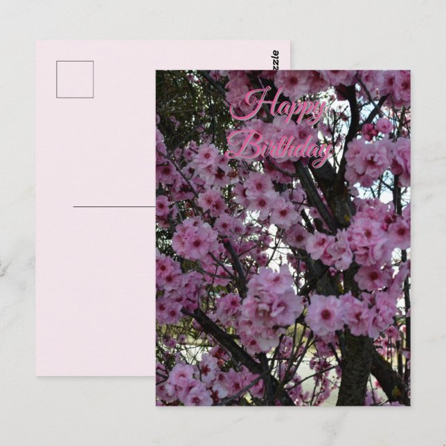 Pink Spring Blossom Tree, Birthday Postcard (Front/Back)