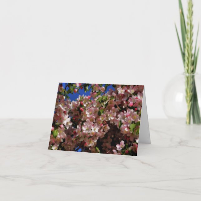 Pink Spring Blossoms Floral Blank Note Card (Front)