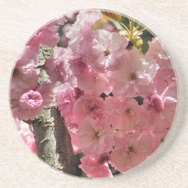 Pink Spring Blossoms Floral Coaster (Front)