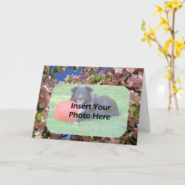Pink Spring Blossoms Floral Frame Photo  Card (Yellow Flower)