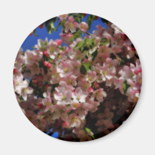 Pink Spring Blossoms Flower Magnet