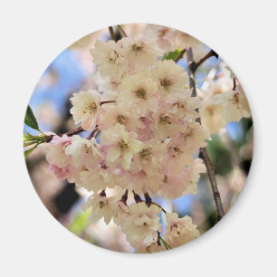 Pink Spring Blossoms Flower Magnet