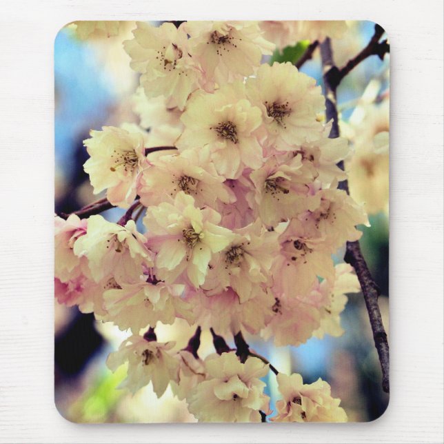 Pink Spring Blossoms Flower  Mouse Pad (Front)