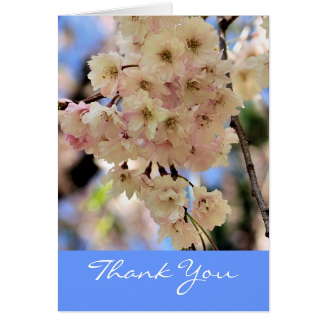 Pink Spring Blossoms Flower Thank You (Front)