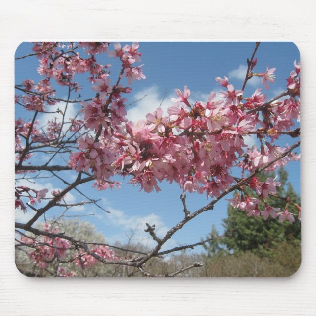 Pink Spring Blossoms Mouse Pad (Front)