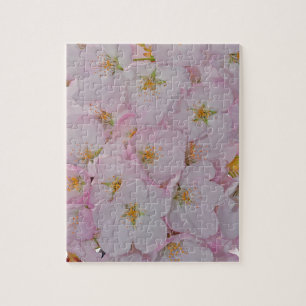 Pink spring cherry blossoms jigsaw puzzle
