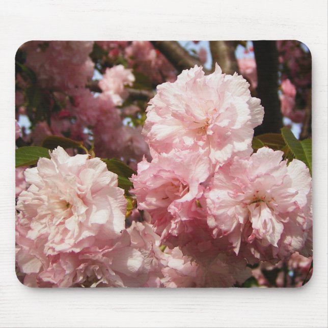 Pink Spring Tree Flowers Mouse Pad (Front)