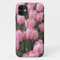 Pink Spring Tulip Flowers